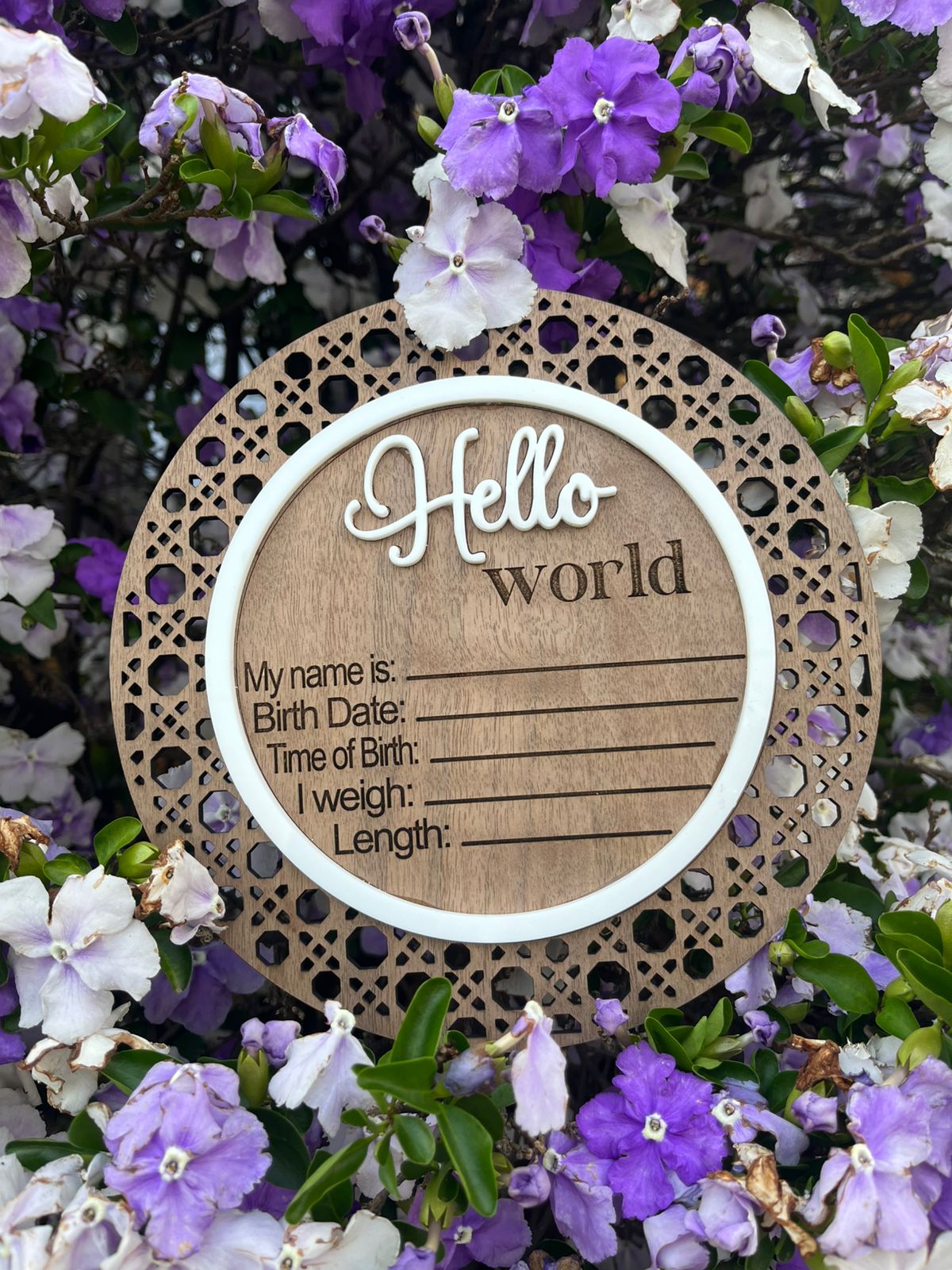 Baby announcement and milestones thumbnail 2