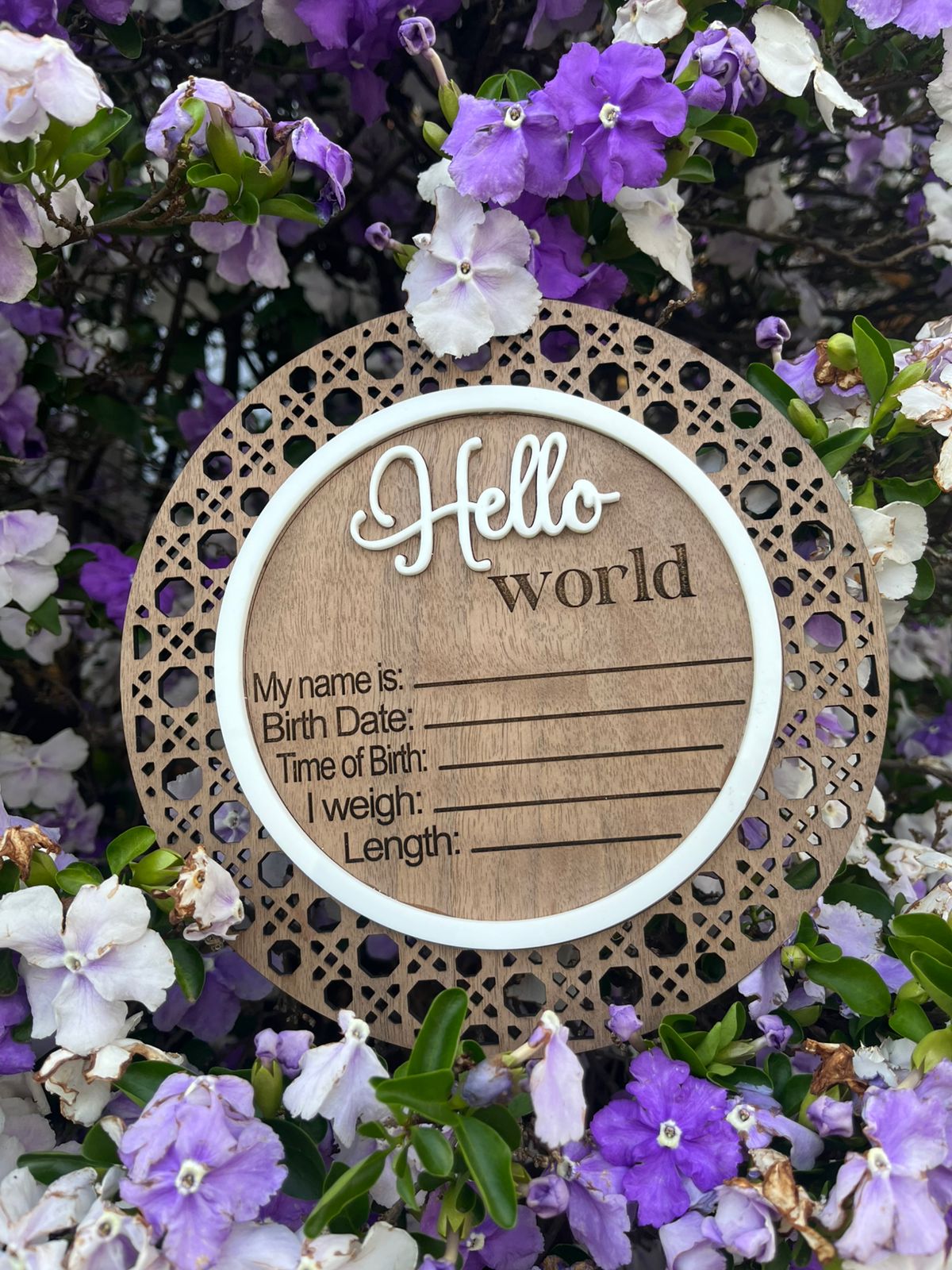 Baby announcement and milestones thumbnail 3